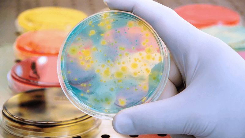 引物合成修饰：揭秘生物科技领域的“隐形功臣