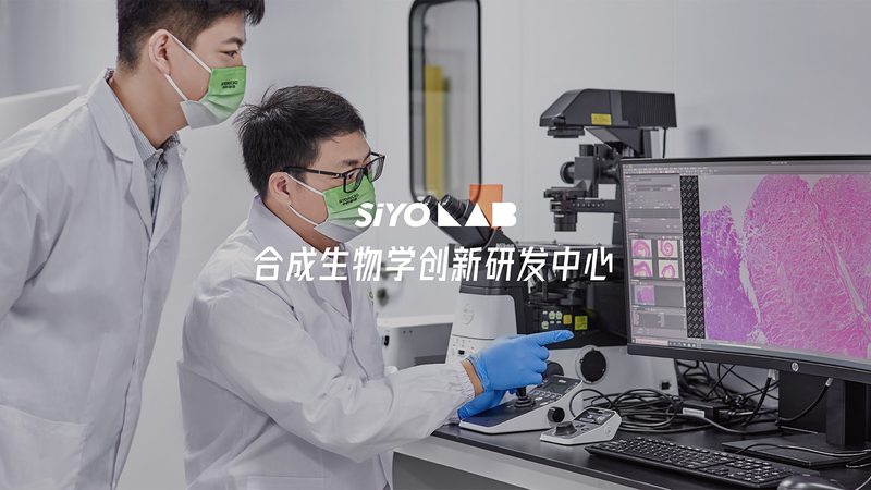 CDMO工艺流程参数设置的奥秘与关键