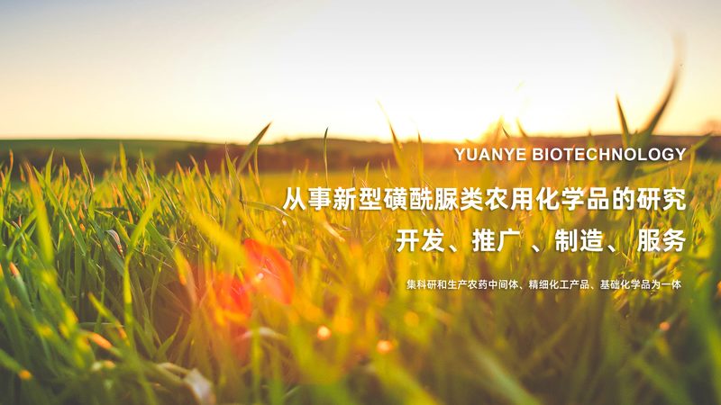 口服固体制剂CDMO：揭秘其背后的技术秘密与选择要点**