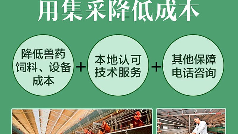 细胞培养基与微生物培养基：差异与选择要点