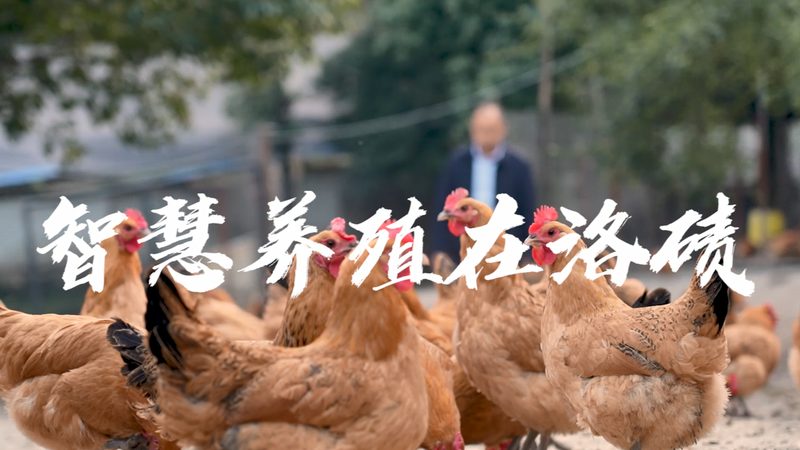 基因测序费用明细：揭秘基因测序成本的构成与优化