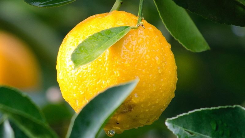 十强榜单之外：生物科技企业的真实竞争力如何判断