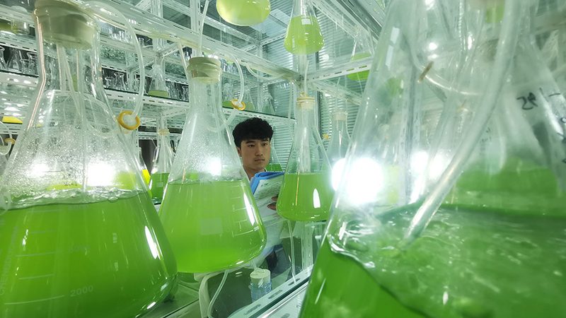 CRo工具生产厂家：揭秘医药研发背后的“隐形功臣